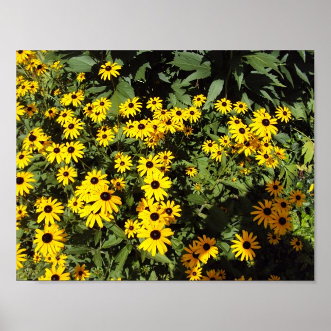 Sunlit Meadow Poster (Front)