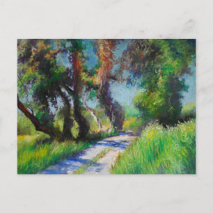 Sunlit Olive Grove Pastel Landscape Postcard