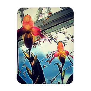Sunlit Orchids Flexi Photo Magnet
