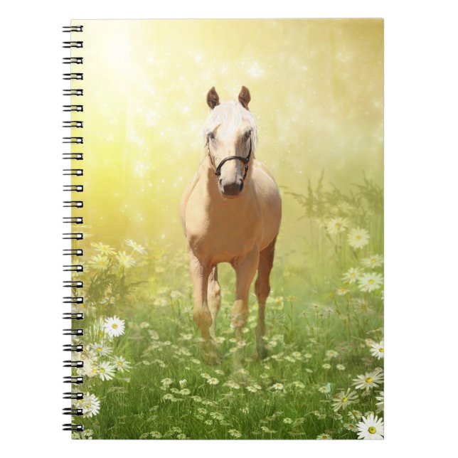 Sunlit palomino horse spiral notebook (Front)