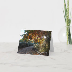 Sunlit Path Note Card