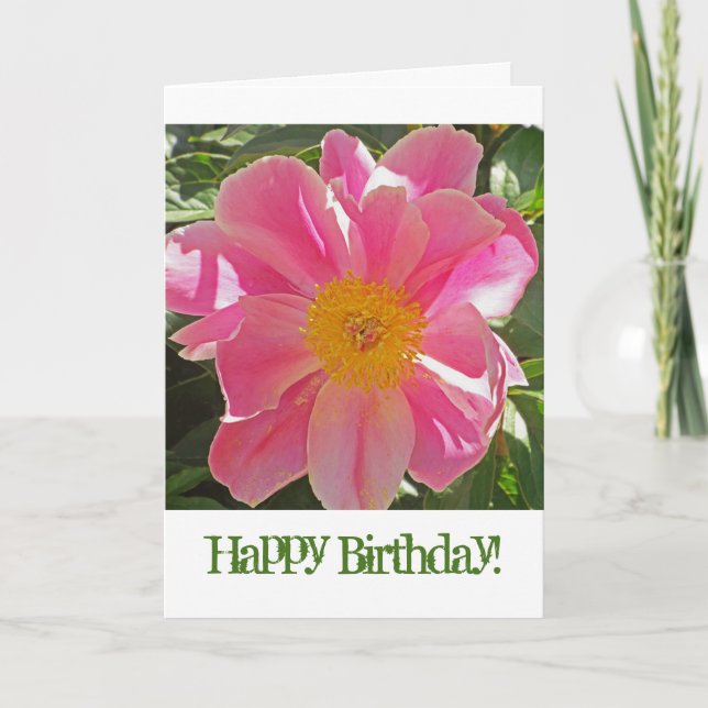 SUNLIT PINK ROSELETTE PEONY/ BIRTHDAY CARD (Front)