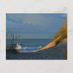 'Sunlit' Postcard