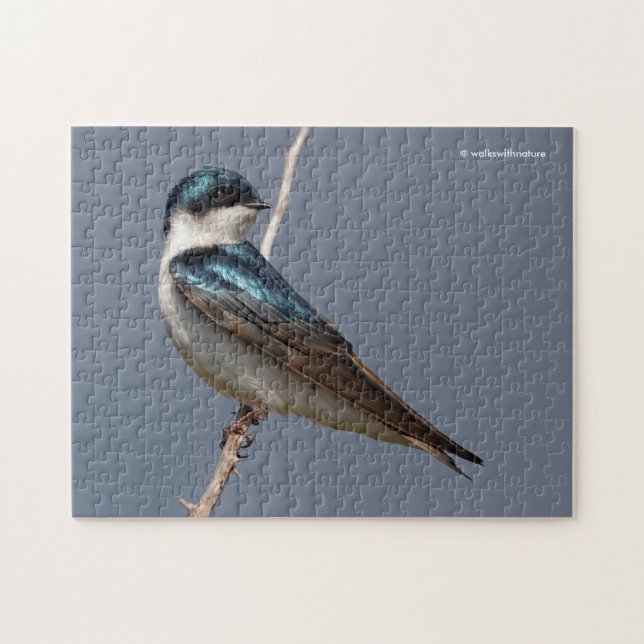 Sunlit Profile of a Tree Swallow Songbird Jigsaw Puzzle (Horizontal)