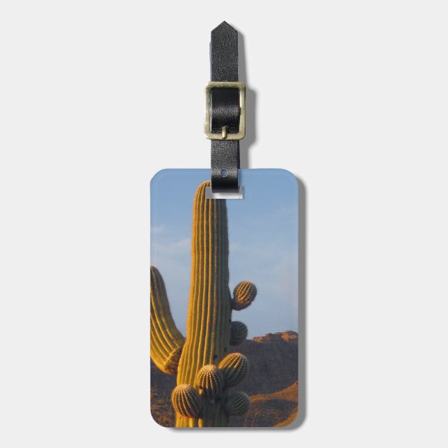 Sunlit Saguaro Cactus Customisable Luggage Tag (Front Vertical)