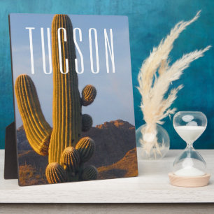Sunlit Saguaro Tucson Scene Plaque