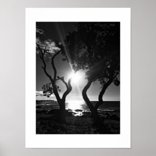 Sunlit Shore Hawaii Black and White Photography Poster