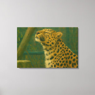 Sunlit Silence – Resting Leopard in Forest Light Canvas Print