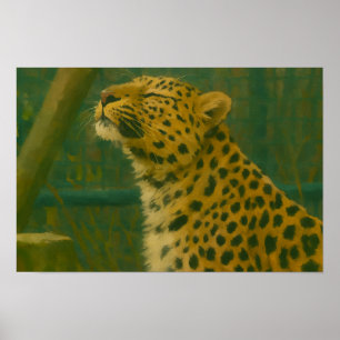 Sunlit Silence – Resting Leopard in Forest Light Poster