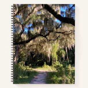 Sunlit Spanish Moss Notebook