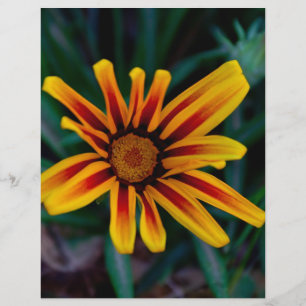 Sunlit Treasure Flower Botanical Photo Flyer