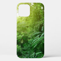 Sunlit tree canopy in tropical jungle