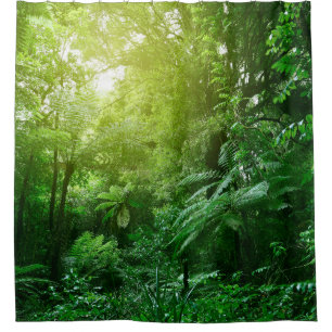 Sunlit tree canopy in tropical jungle shower curtain