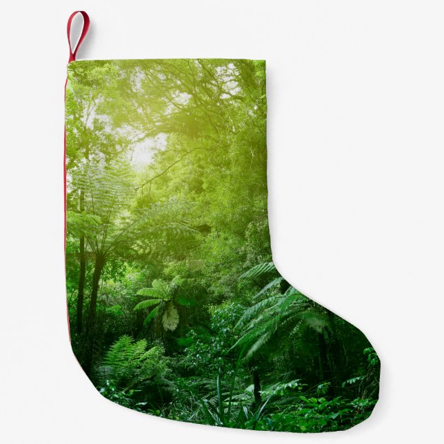Sunlit tree canopy in tropical jungle  small christmas stocking (Front)