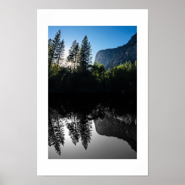 Sunlit Trees Yosemite Reflection Photography Poster (Front)
