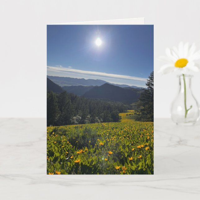Sunlit Valley Card (Small Plant)