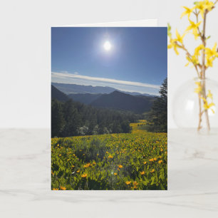 Sunlit Valley Card