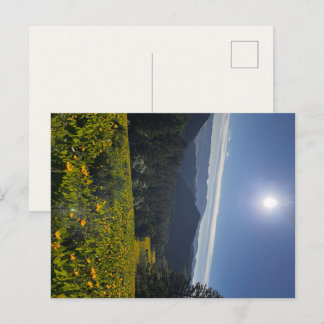 Sunlit Valley Postcard