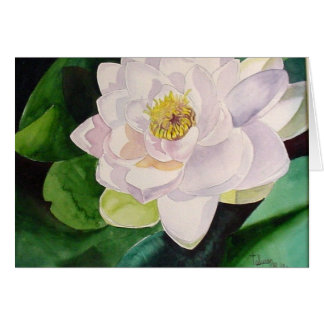 Sunlit Water Lily Card