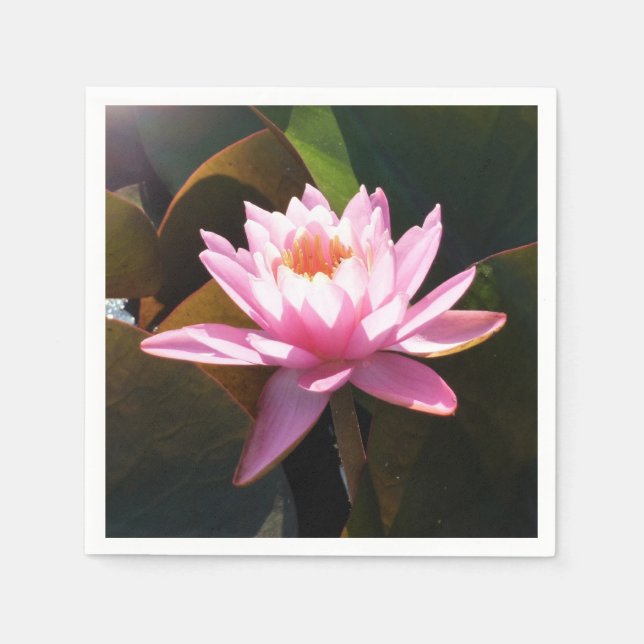 Sunlit Waterlily Pink Floral Water Garden Napkin (Front)