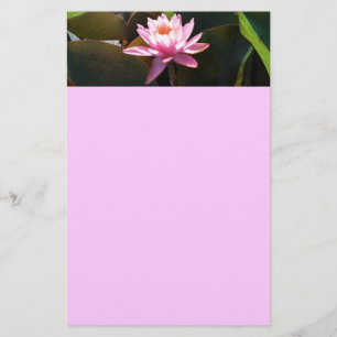 Sunlit Waterlily Pink Floral Water Garden Stationery