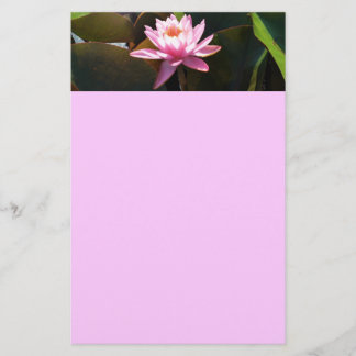 Sunlit Waterlily Pink Floral Water Garden Stationery