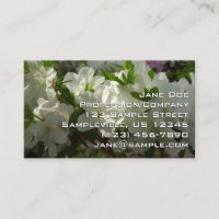 Sunlit White Azaleas Beautiful Spring Flowers