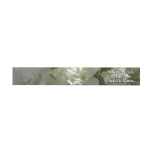 Sunlit White Azaleas Beautiful Spring Flowers Wrap Around Label