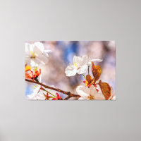 Sunlit White Sakura Flower And Orange Leaves