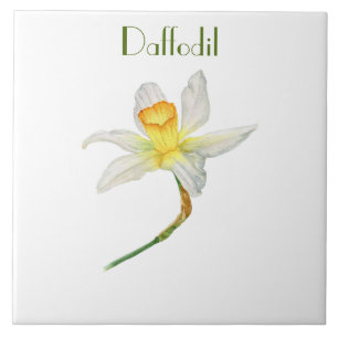 Sunlit yellow Daffodil botanical watercolor Tile