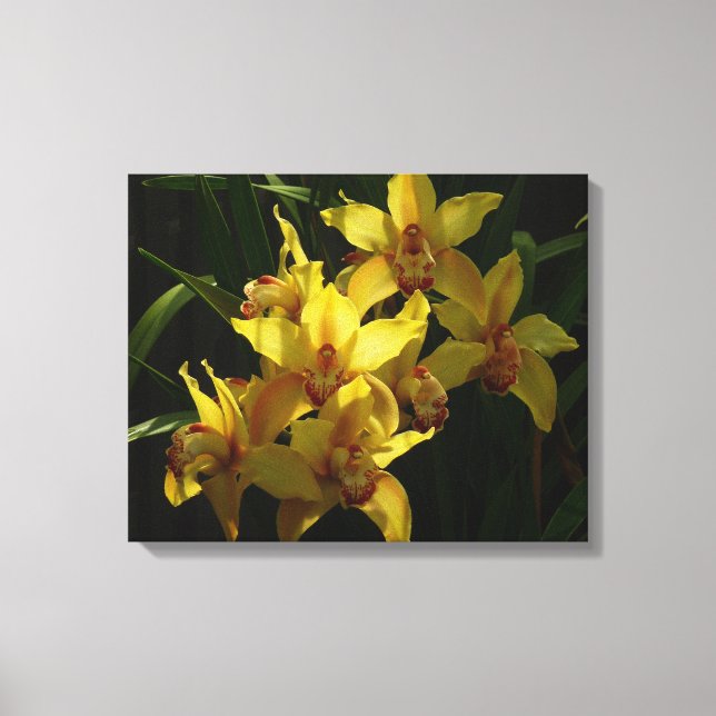 Sunlit Yellow Orchids Floral Canvas Print (Front)