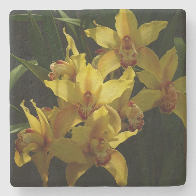 Sunlit Yellow Orchids Floral Stone Coaster (Front)