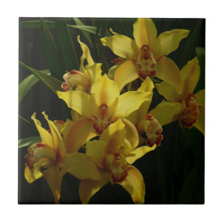 Sunlit Yellow Orchids Floral Tile