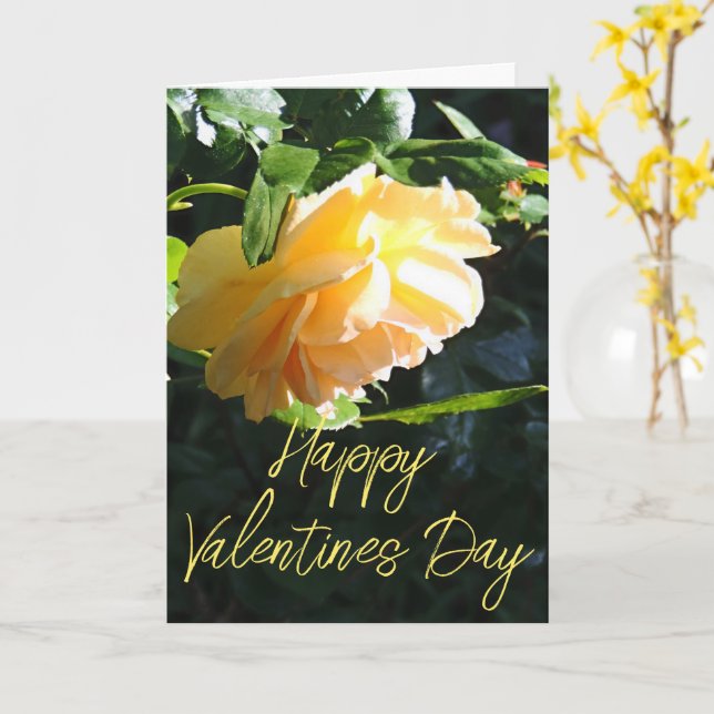 Sunlit Yellow Rose Happy Valentine's Day Card (Yellow Flower)
