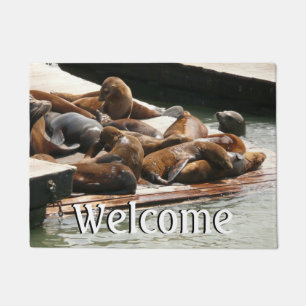 Sunning Sea Lions in San Francisco Doormat
