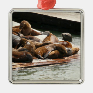 Sunning Sea Lions in San Francisco Metal Tree Decoration