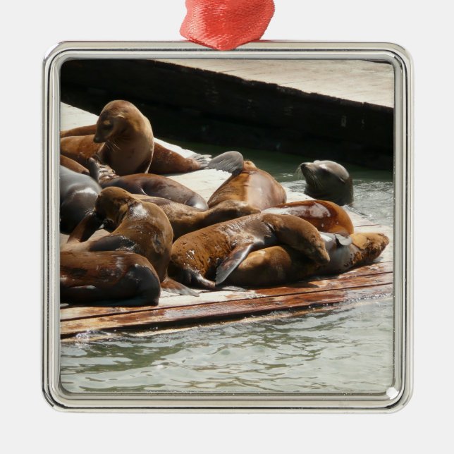 Sunning Sea Lions in San Francisco Metal Tree Decoration (Front)