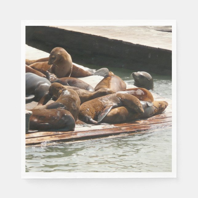 Sunning Sea Lions in San Francisco Napkin (Front)