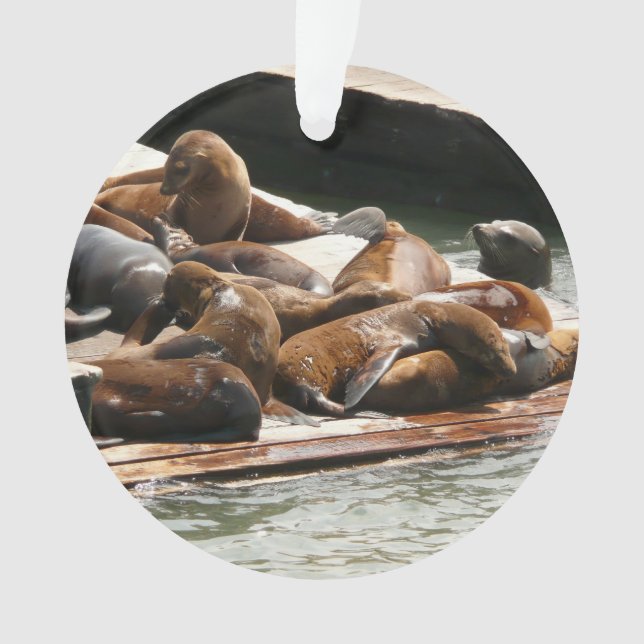 Sunning Sea Lions in San Francisco Ornament (Front)