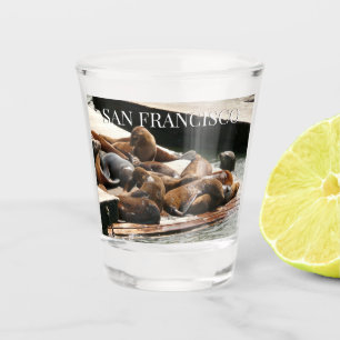 Sunning Sea Lions in San Francisco Shot Glass