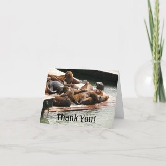 Sunning Sea Lions in San Francisco Thank You Card