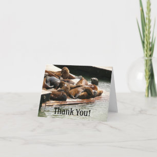 Sunning Sea Lions in San Francisco Thank You Card