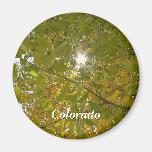 Sunny Aspen Magnet