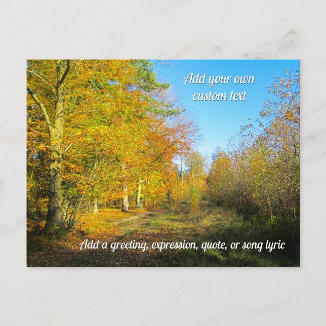 Sunny Autumn Forest - Personalized Postcard (Front)