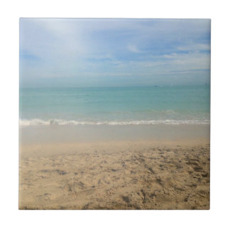 Sunny Beach Landscape- Cape Cod Tile