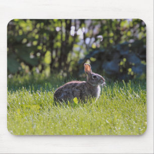 Sunny Bunny Mouse Pad