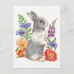 Sunny Bunny Postcard