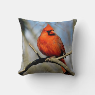 Sunny Cardinal Crest Pillow