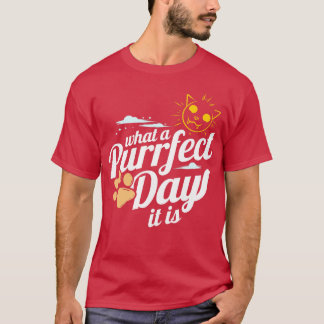 Sunny Cat And Cat Paw For Perfect Day On Purrsday T-Shirt