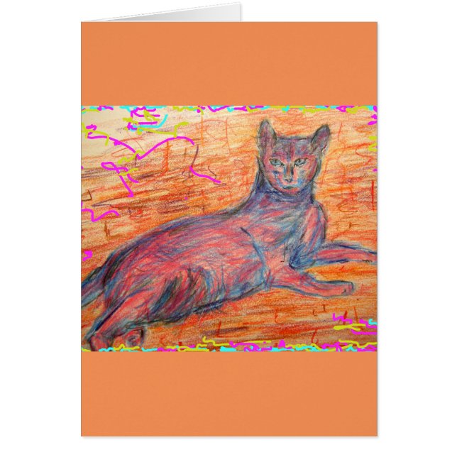 sunny cobblestone cat (Front)